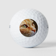 Visage déterminé d'un chat de gingembre