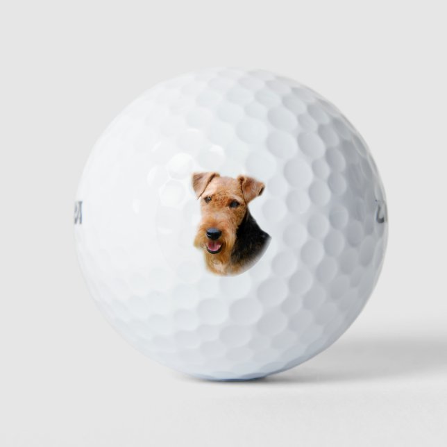 Balles De Golf Welsh Terrier (Devant)