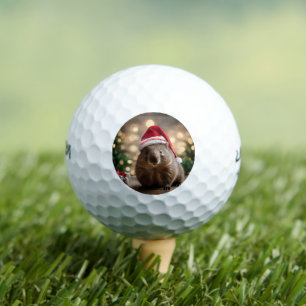 Balles De Golf "Wombat Wonderland : Un réveillon de Noël cosy"