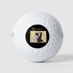 BALLES DE GOLF WYOMING RÊVE