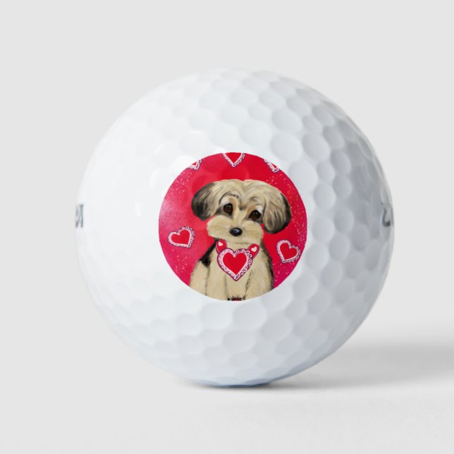 BALLES DE GOLF YORKIE POO (Devant)