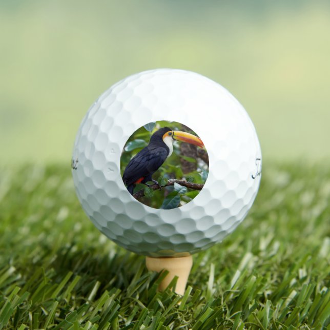 Balles De Golf You Toucan Sit In The Treetops, (T-shirt Insitu)
