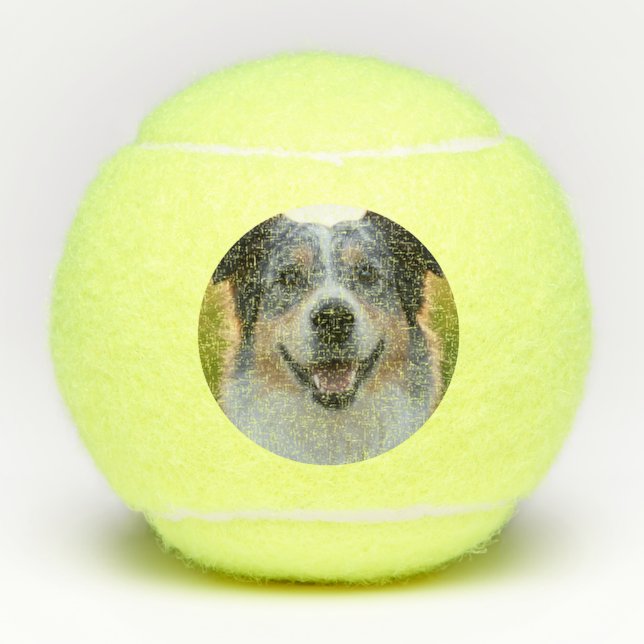 Balles De Tennis Ajouter une Personnaliser photo pour animaux domes (Devant)