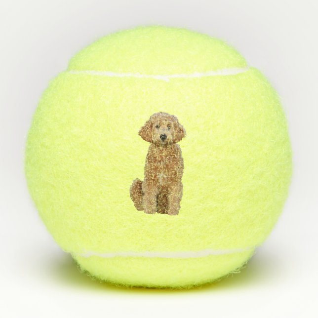 Balles de tennis avec le goldendoodle (Devant)