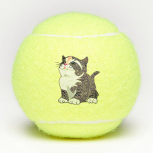 Balles De Tennis Ballons De Tennis De Chat