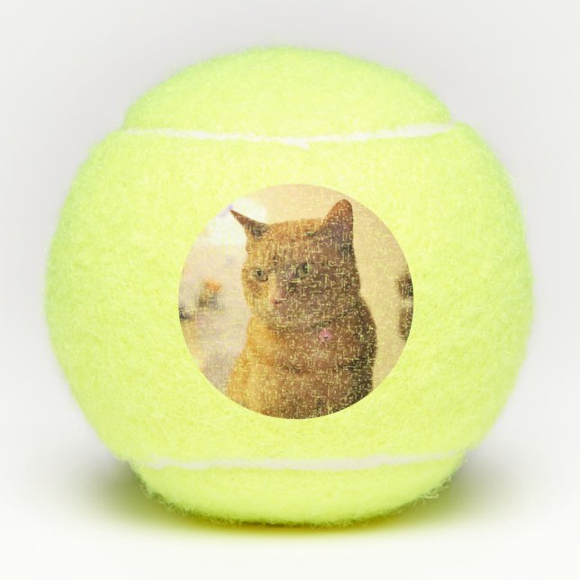 Balles De Tennis Cat (Devant)