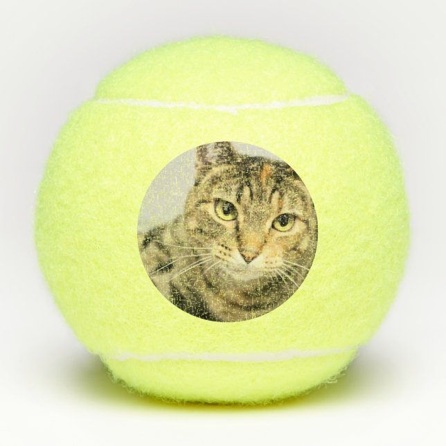 Balles De Tennis Cat (Devant)