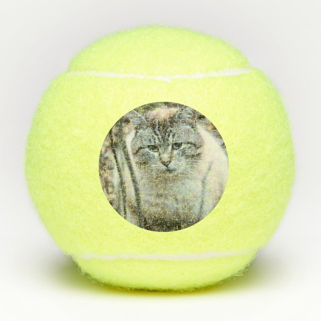 Balles De Tennis Cat (Devant)