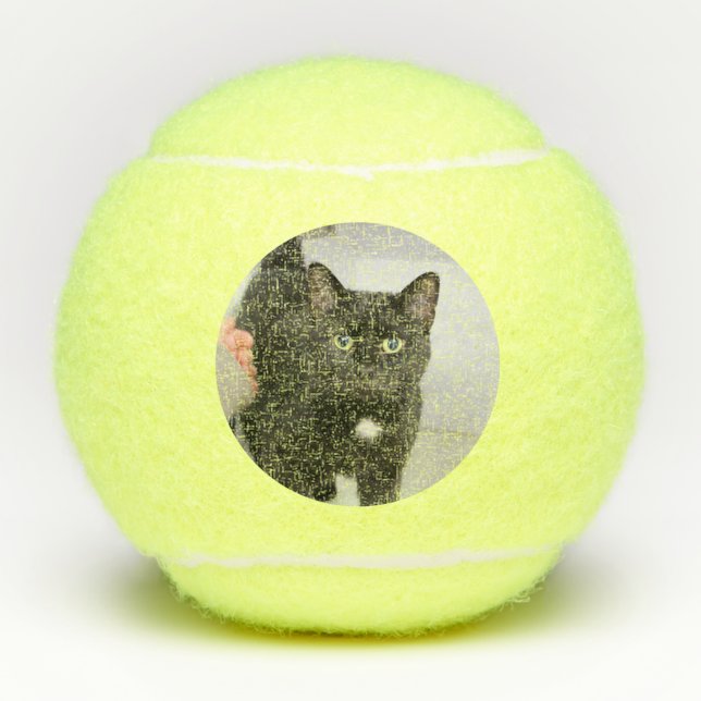 Balles De Tennis Cat (Devant)