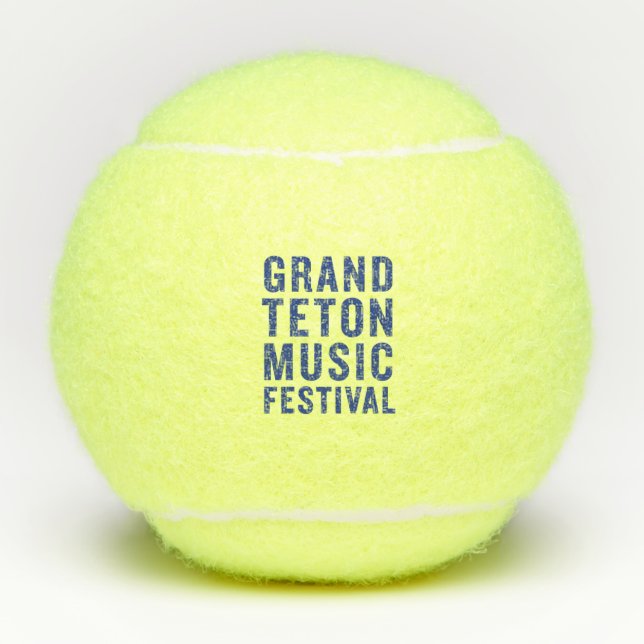 Balles De Tennis Championnat GTMF Penn Tennis Ball (Devant)