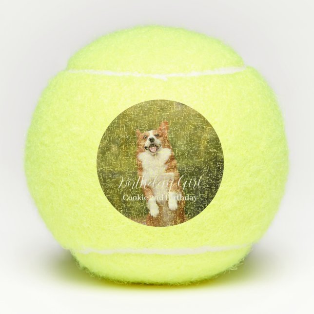 Balles De Tennis Chien Birthday Girl Photo moderne (Devant)