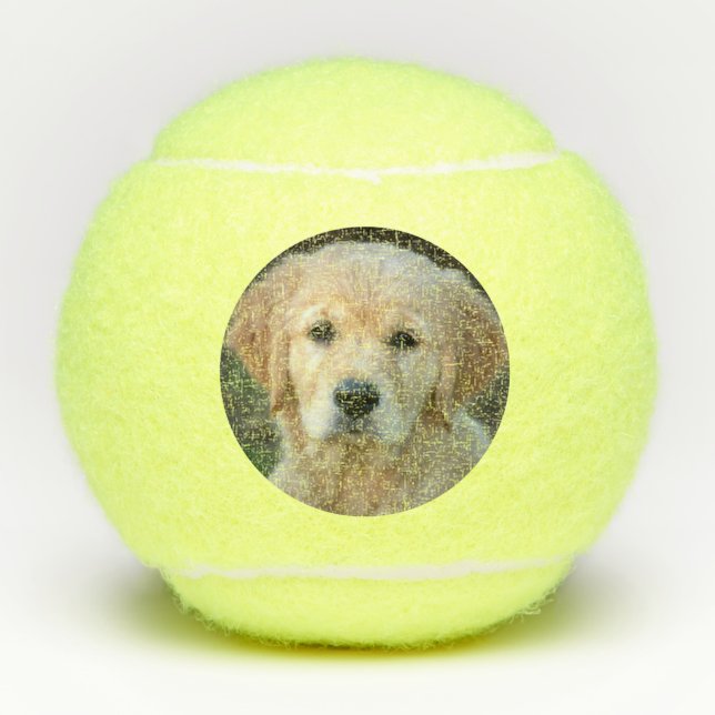 Balles De Tennis Chiot Golden Retriever (Devant)