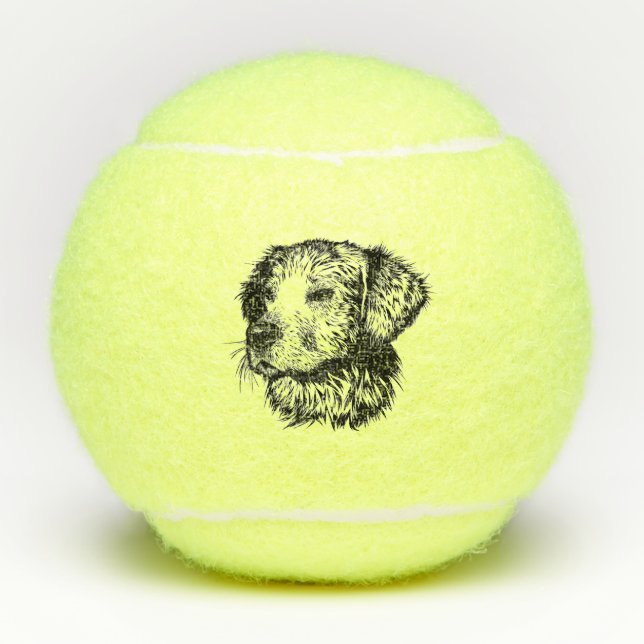 Balles De Tennis Croquis en tête de canine (Devant)