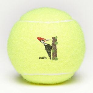 Balles De Tennis Cue drôle Pileated woodpecker dessin d'illustratio