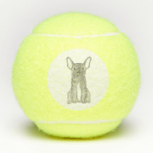 Balles de tennis de bouledogue français