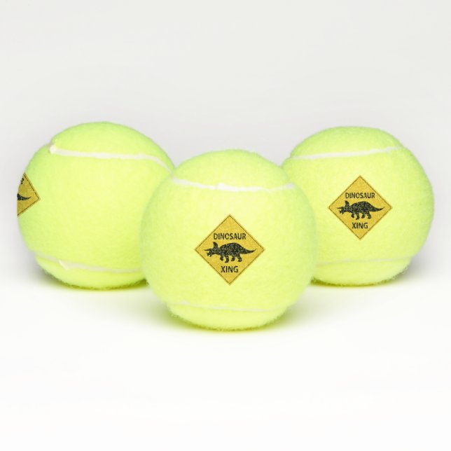 Balles De Tennis Dinosaur Xing (Multiple)