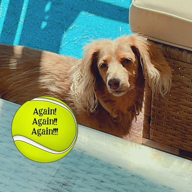 Balles De Tennis Encore une fois maman chien drôle (My dog loves chasing tennis balls!)