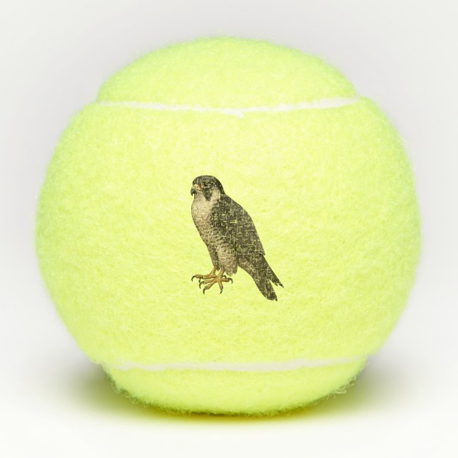 Balles De Tennis Faucon migrant (Devant)