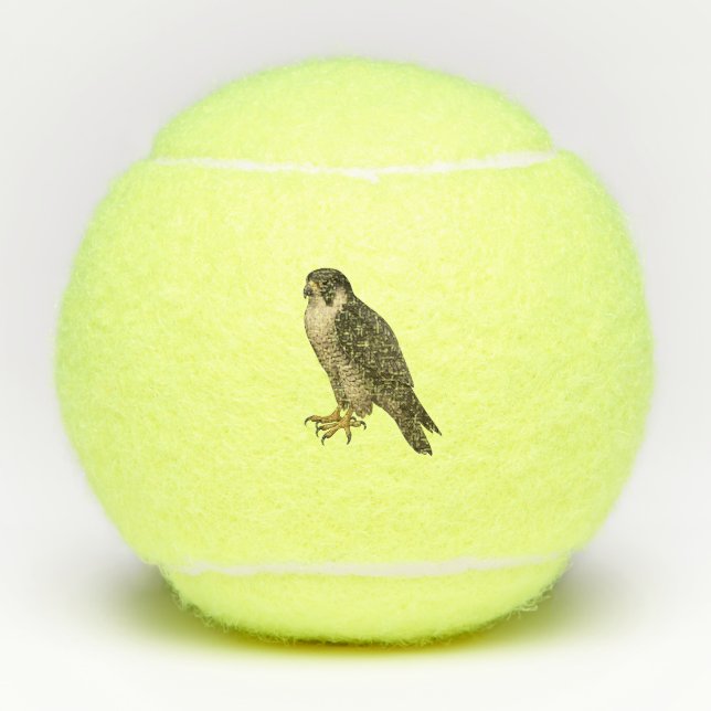 Balles De Tennis Faucon migrant (Devant)