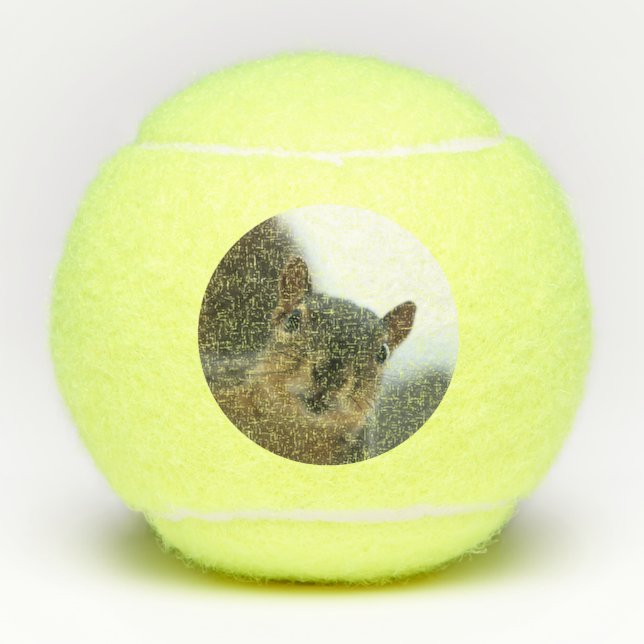 Balles De Tennis Hé, là (Devant)