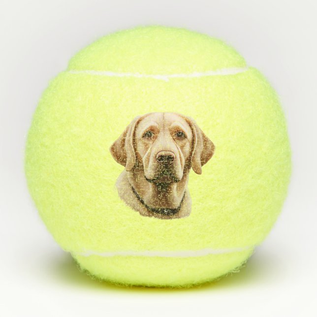 Balles De Tennis Illustration classique du Labrador Retriever (Devant)
