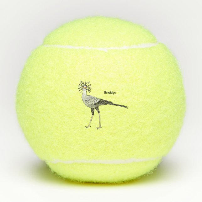 Balles De Tennis Illustration de dessin du secrétaire pour oiseaux (Devant)