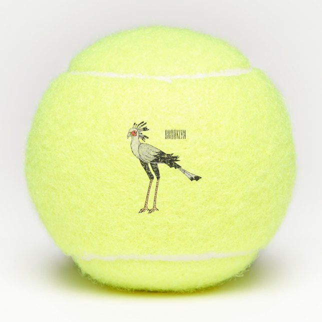 Balles De Tennis Illustration de dessin du secrétaire pour oiseaux (Devant)