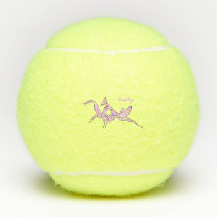 Balles De Tennis Illustration de l'orchidée mante