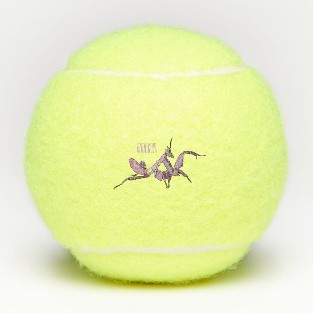 Balles De Tennis Illustration de l'orchidée mante (Devant)