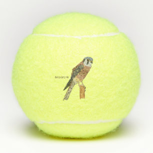 Balles De Tennis Illustration d'oiseau américain Kestrel