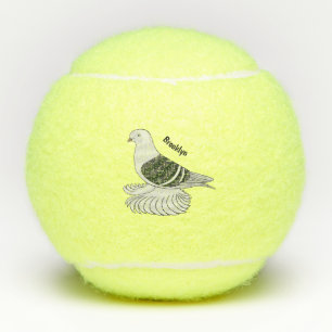 Balles De Tennis Illustration du pigeon pigeon du Bouclier de Saxon