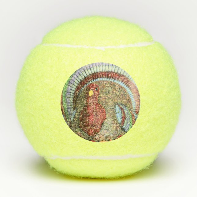 Balles De Tennis Ne pas frotter cette dinde (Devant)