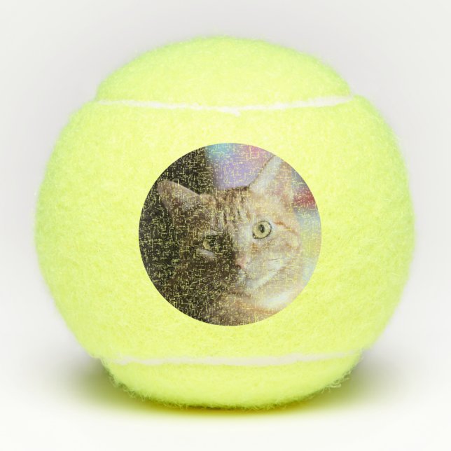 Balles De Tennis Penny (Devant)