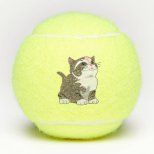 Balles De Tennis Petit Kitten