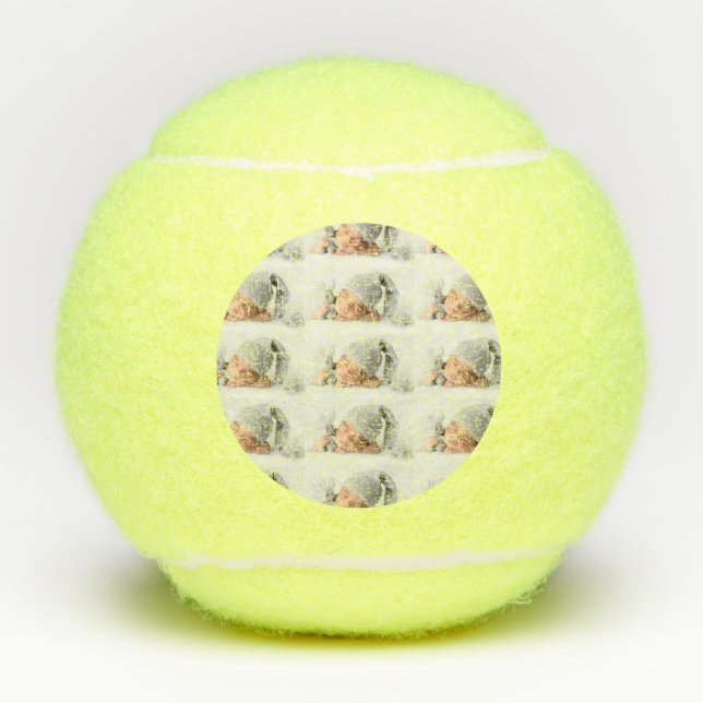 Balles De Tennis Photo (Devant)