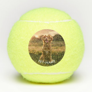 Balles De Tennis Photo personnalisée avec le nom de votre chien