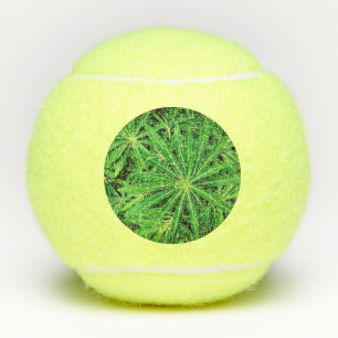 Balles De Tennis Plante vert