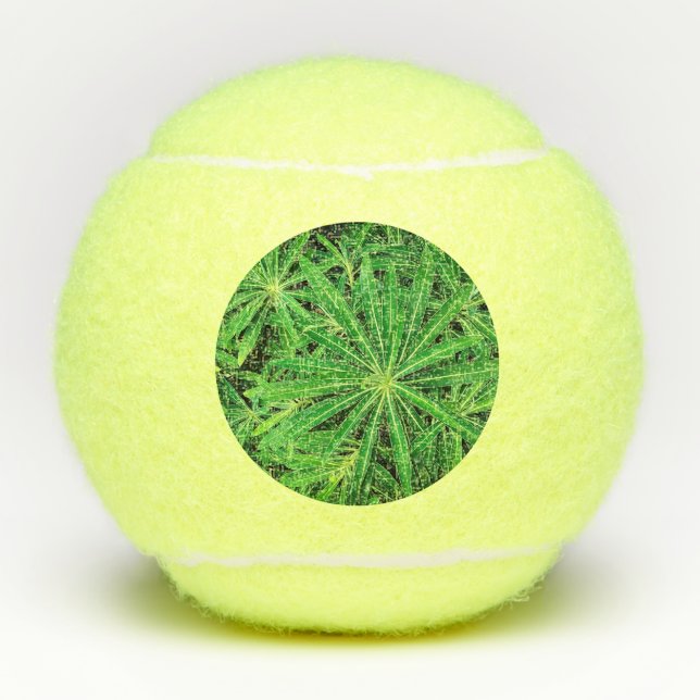 Balles De Tennis Plante vert (Devant)