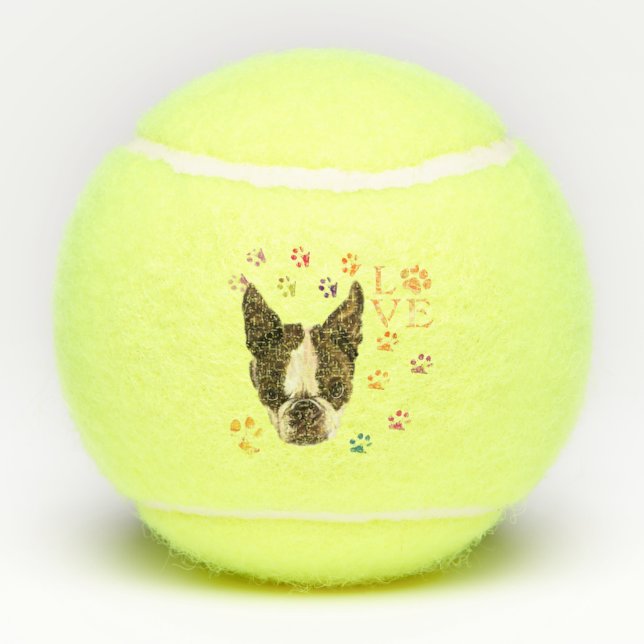 Balles de Tennis pour Chien de Compagnie (Dos)