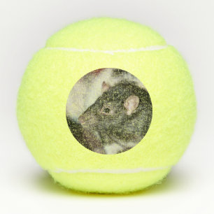 Balles De Tennis Rat
