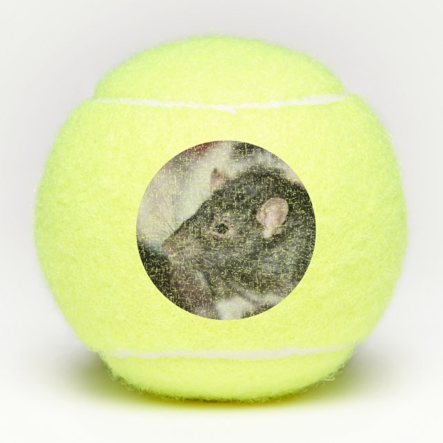 Balles De Tennis Rat (Devant)