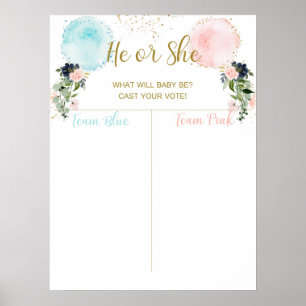 Balloirs Poster votre vote, bébé ou garçon Poster