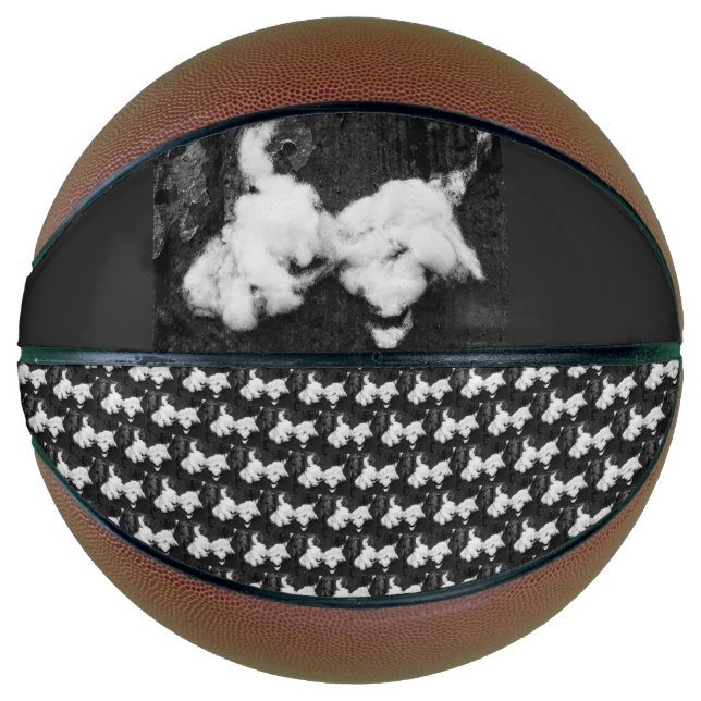 Ballon De Basket basketball duvet (Devant)