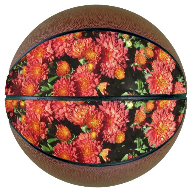 Ballon De Basket Chrysanthème de floraison (Devant)
