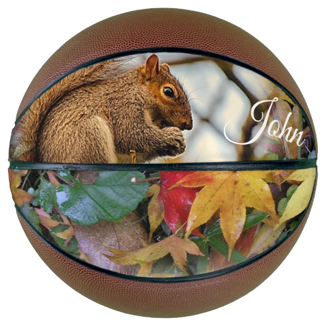 Ballon De Basket Écureuil de basket (Devant)