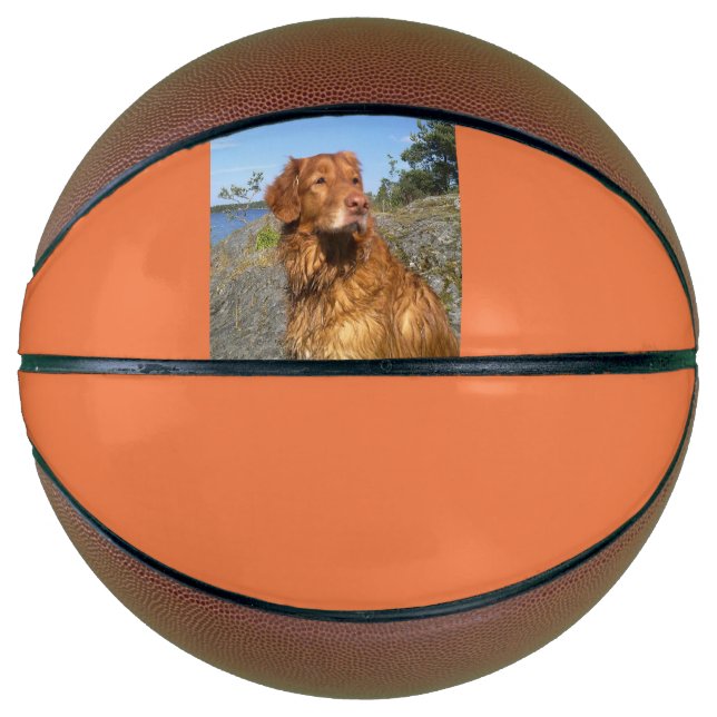 Ballon De Basket mouillé (Devant)