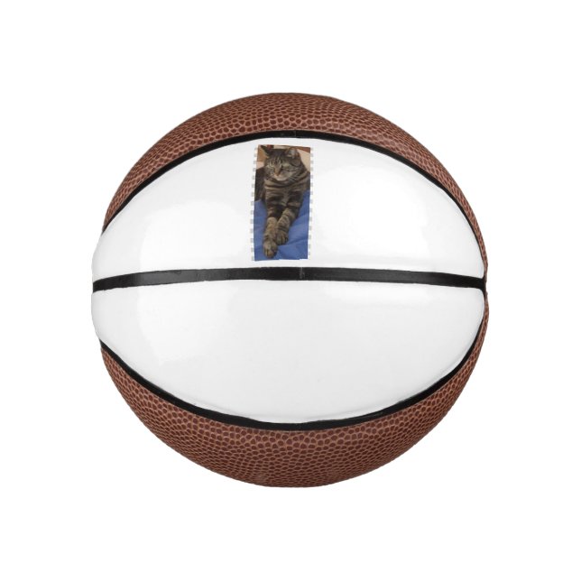 Ballon De Basket Regal Dave Mini (Devant)