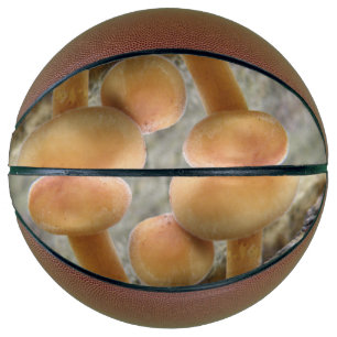Ballon De Basket Tabourets sur une bille de coffre TRee