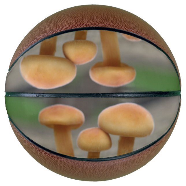 Ballon De Basket Tabourets Tabourets Macro Basket (Devant)