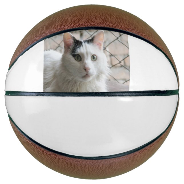 Ballon De Basket van turc (Devant)